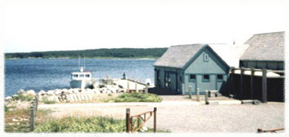 Canso Island